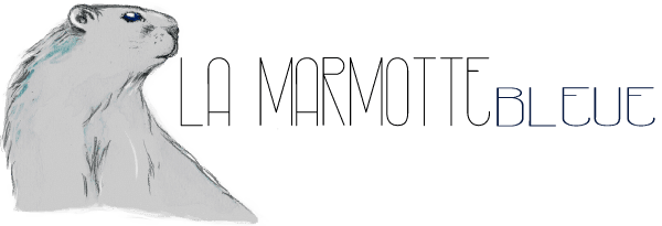 marmotte-bleue illustration logo by NephilimK