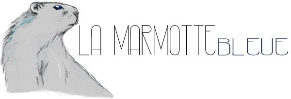 marmotte-logo-art by nephilimk illustrator