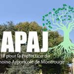 capaj- collectif-pour-la-protection-du-patrimoine-arboricole-de-montrouge et contre l'abattage des plantanes