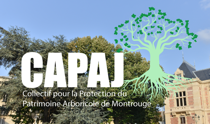 capaj- collectif-pour-la-protection-du-patrimoine-arboricole-de-montrouge et contre l'abattage des plantanes